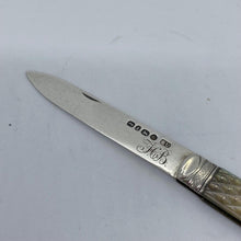 Load image into Gallery viewer, Silver And Mother Of Pearl Fruit Knife George Unite Birmingham 1858
