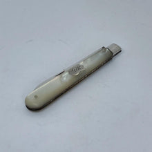 Load image into Gallery viewer, Silver And Mother Of Pearl Fruit Knife Thomas Marples Sheffield 1895