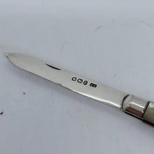 Load image into Gallery viewer, Silver And Mother Of Pearl Fruit Knife Thomas Marples Sheffield 1895