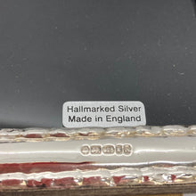 Load image into Gallery viewer, Silver Photograph Frame With Beaded Decoration