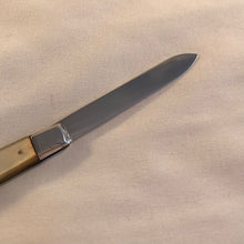 Load image into Gallery viewer, Edwardian Silver And Mother Of Pearl Fruit Knife Sheffield 1919