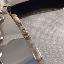 Load image into Gallery viewer, Novelty Edwardian Silver Vesta With Applied Cast Frog Model Chester 1903