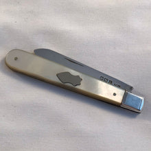 Load image into Gallery viewer, Edwardian Silver And Mother Of Pearl Fruit Knife Sheffield 1919
