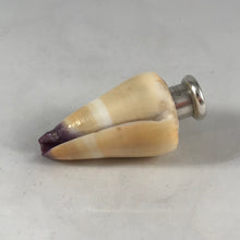 Load image into Gallery viewer, Sampson Mordan Real shell topped scent bottle
